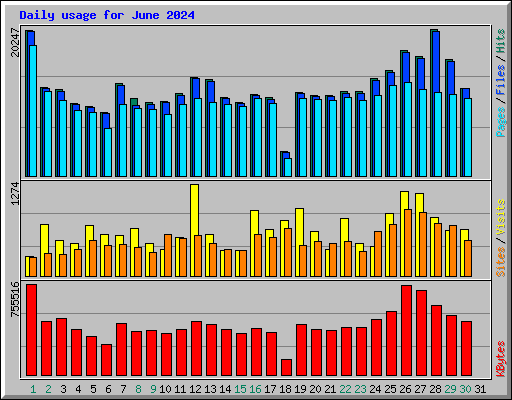 Daily usage for June 2024