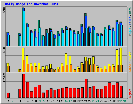 Daily usage for November 2024