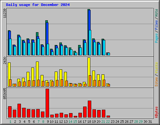 Daily usage for December 2024