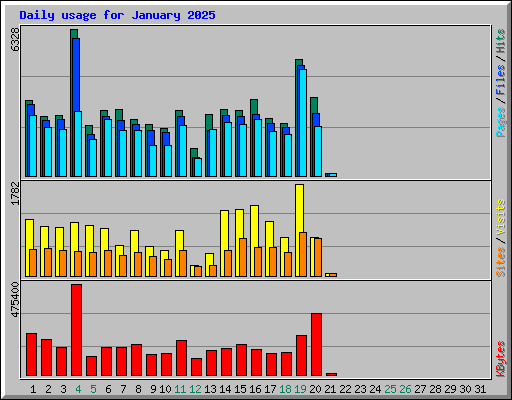 Daily usage for January 2025