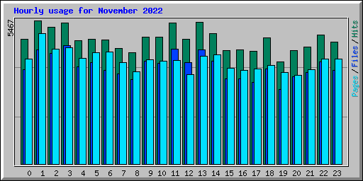 Hourly usage for November 2022