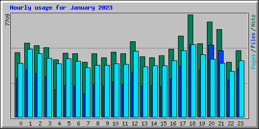 Hourly usage for January 2023