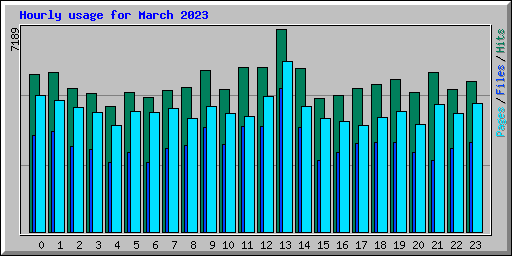 Hourly usage for March 2023