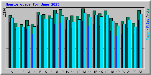 Hourly usage for June 2023