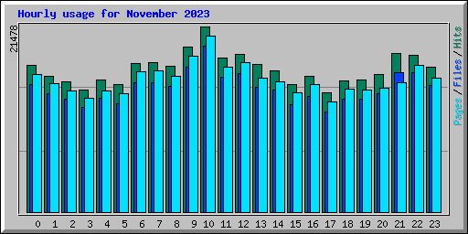 Hourly usage for November 2023