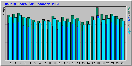 Hourly usage for December 2023