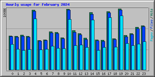 Hourly usage for February 2024