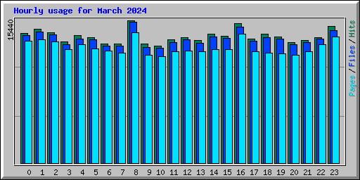 Hourly usage for March 2024