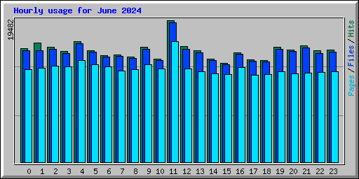 Hourly usage for June 2024