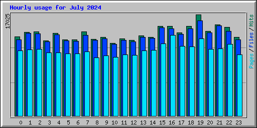 Hourly usage for July 2024