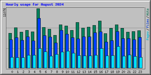 Hourly usage for August 2024