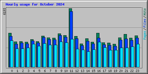 Hourly usage for October 2024