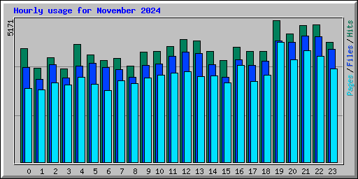 Hourly usage for November 2024