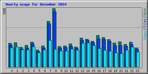 Hourly usage for December 2024