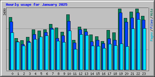 Hourly usage for January 2025